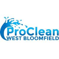 ProClean Pressure Washing West Bloomfield image 5